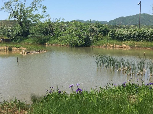 施設写真37