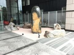 新日本製薬株式会社