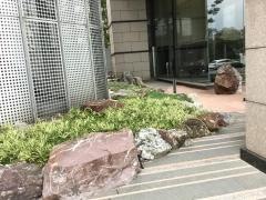 新日本製薬株式会社
