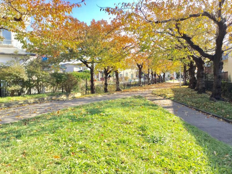 川原緑道