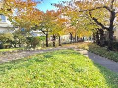 川原緑道