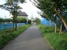 大和歩行者専用道