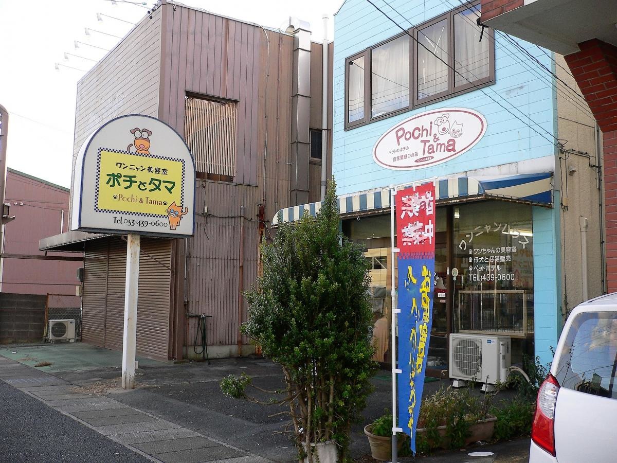 全景③