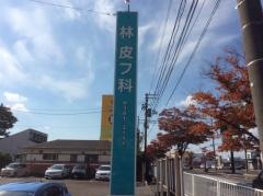 林皮フ科