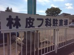 林皮フ科