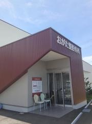 おがた整形外科