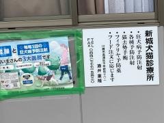 新城犬猫診療所