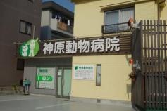 神原獣医科病院