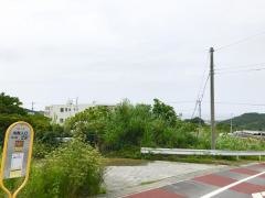 「糸数入口」バス停留所