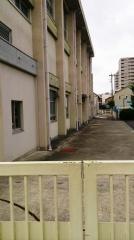 春岡小学校