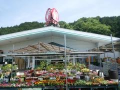 コメリハード＆グリーン　青山店