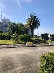 日南市役所