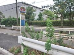 「寛政」バス停留所