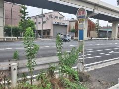 「寛政」バス停留所