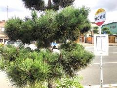 「柳町新道」バス停留所