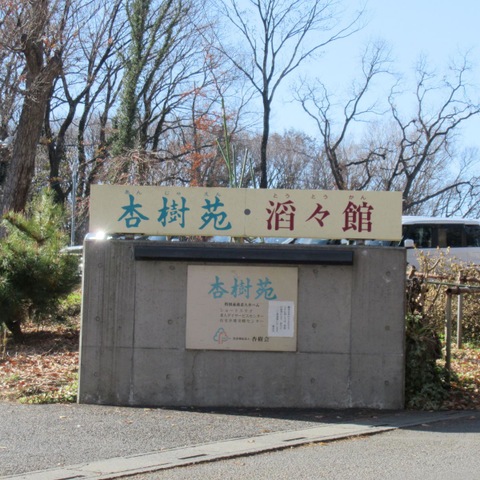 杏樹苑
