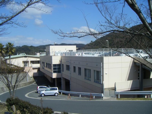フェニックス