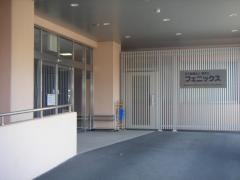フェニックス