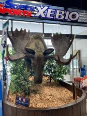 スーパースポーツゼビオ　オリナス錦糸町店