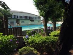 蓮田市立平野中学校