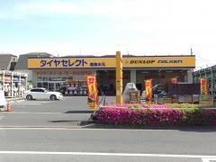 タイヤセレクト　葛飾水元