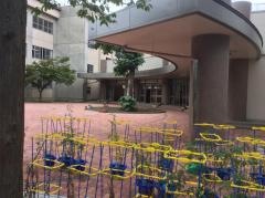 通明小学校