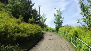 稲葉山公園
