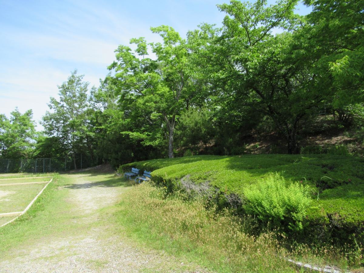 さくら公園