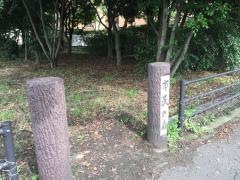 大洲緑地市民の森