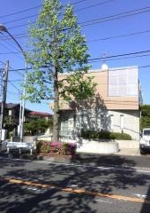 すわ歯科医院