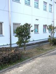 浅野歯科医院