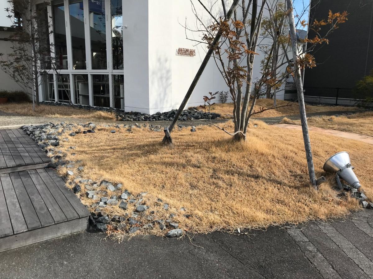 アプローチ横