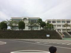 ふじのくに地球環境史ミュージアム