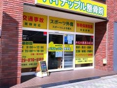 パイナップル整骨院
