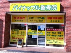 パイナップル整骨院