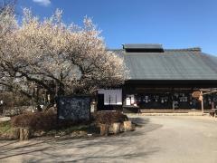 下野市天平の丘公園