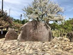 下野市天平の丘公園