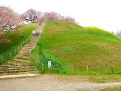 さきたま古墳公園