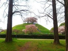 さきたま古墳公園