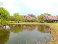 さきたま古墳公園