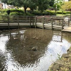 東大宮親水公園