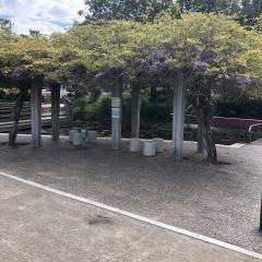 東大宮親水公園