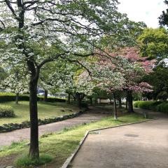 東大宮親水公園