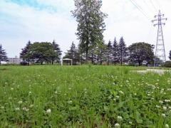 玉鉾公園