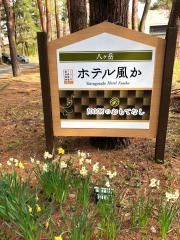 八ヶ岳ホテル風か