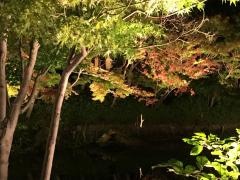 なばなの里