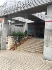 那覇市立石嶺図書館