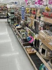 ジョイ山形北店ペットショップバンビ