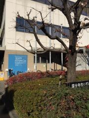すこやか