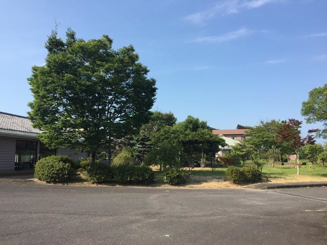 トマト